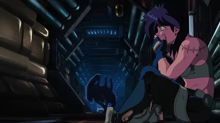 Тут картинка не загрузилась