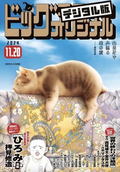 Тут картинка не загрузилась