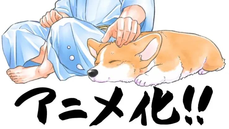 Тут картинка не загрузилась