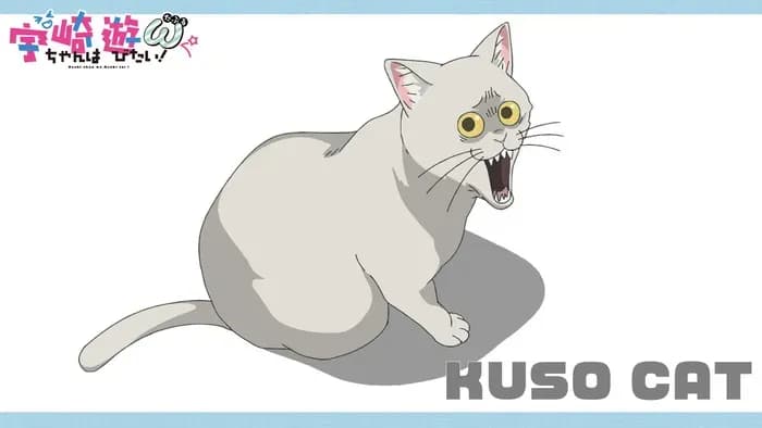 Тут картинка не загрузилась