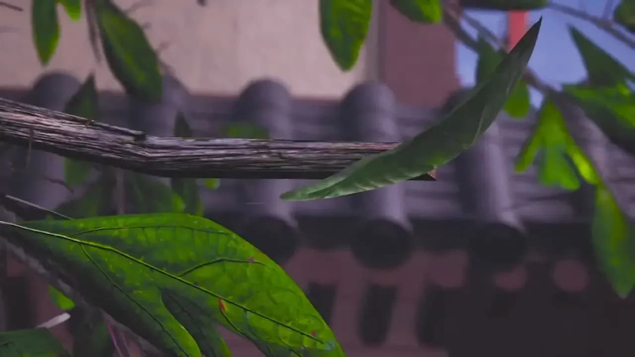 Главный духовный мастер screenshot 1