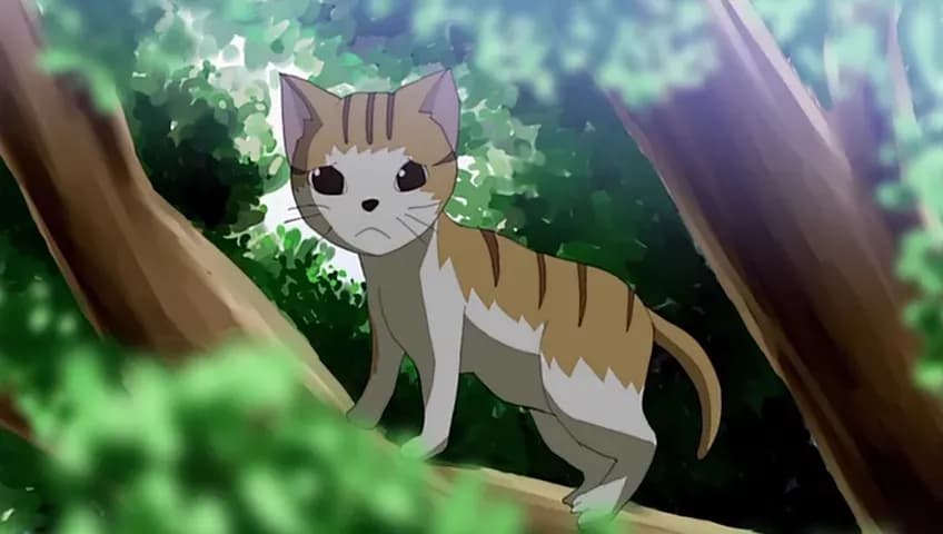 Звёзды, сияющие вместе screenshot 1