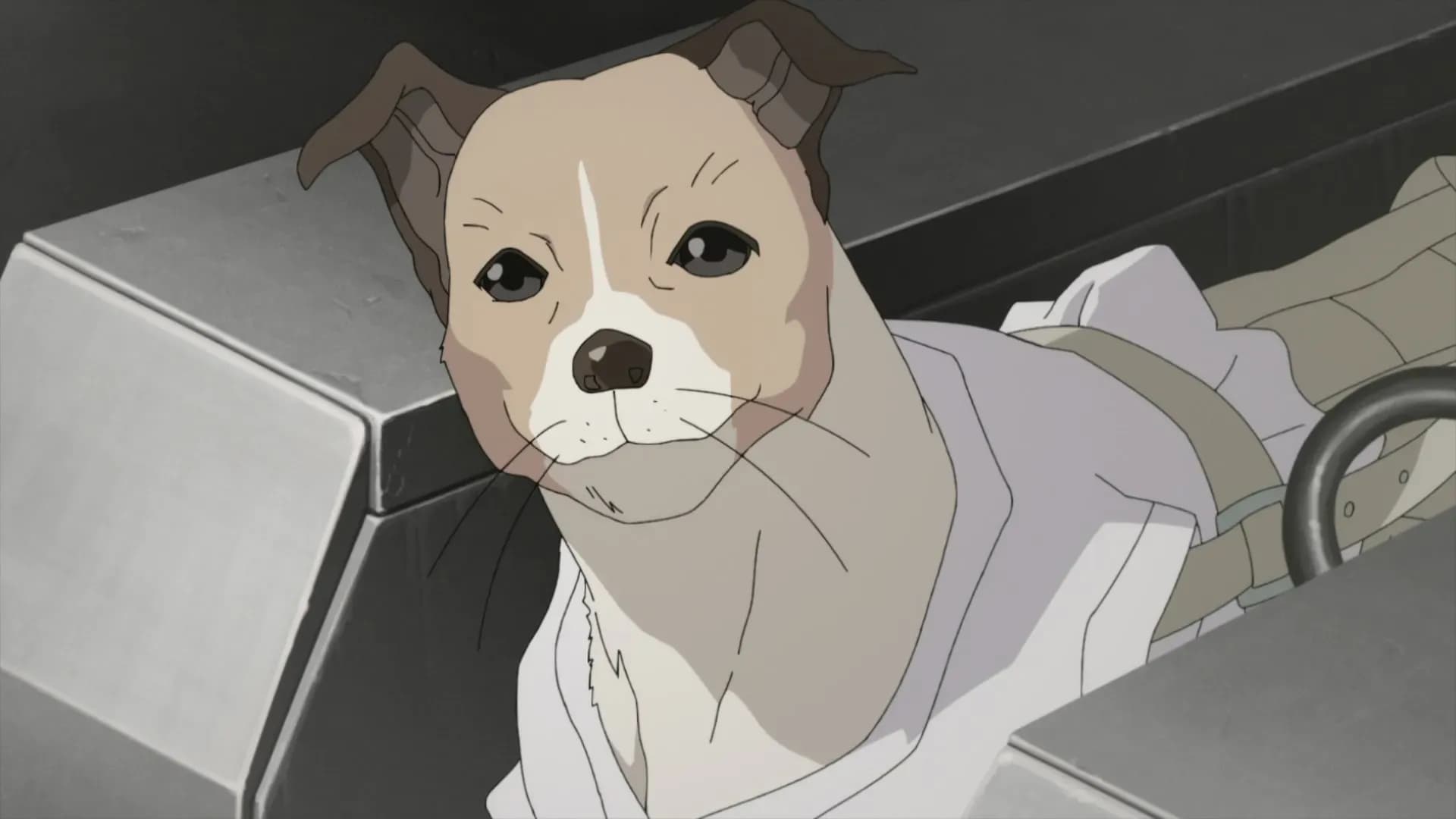 Луна, Лайка и Носферату screenshot 1