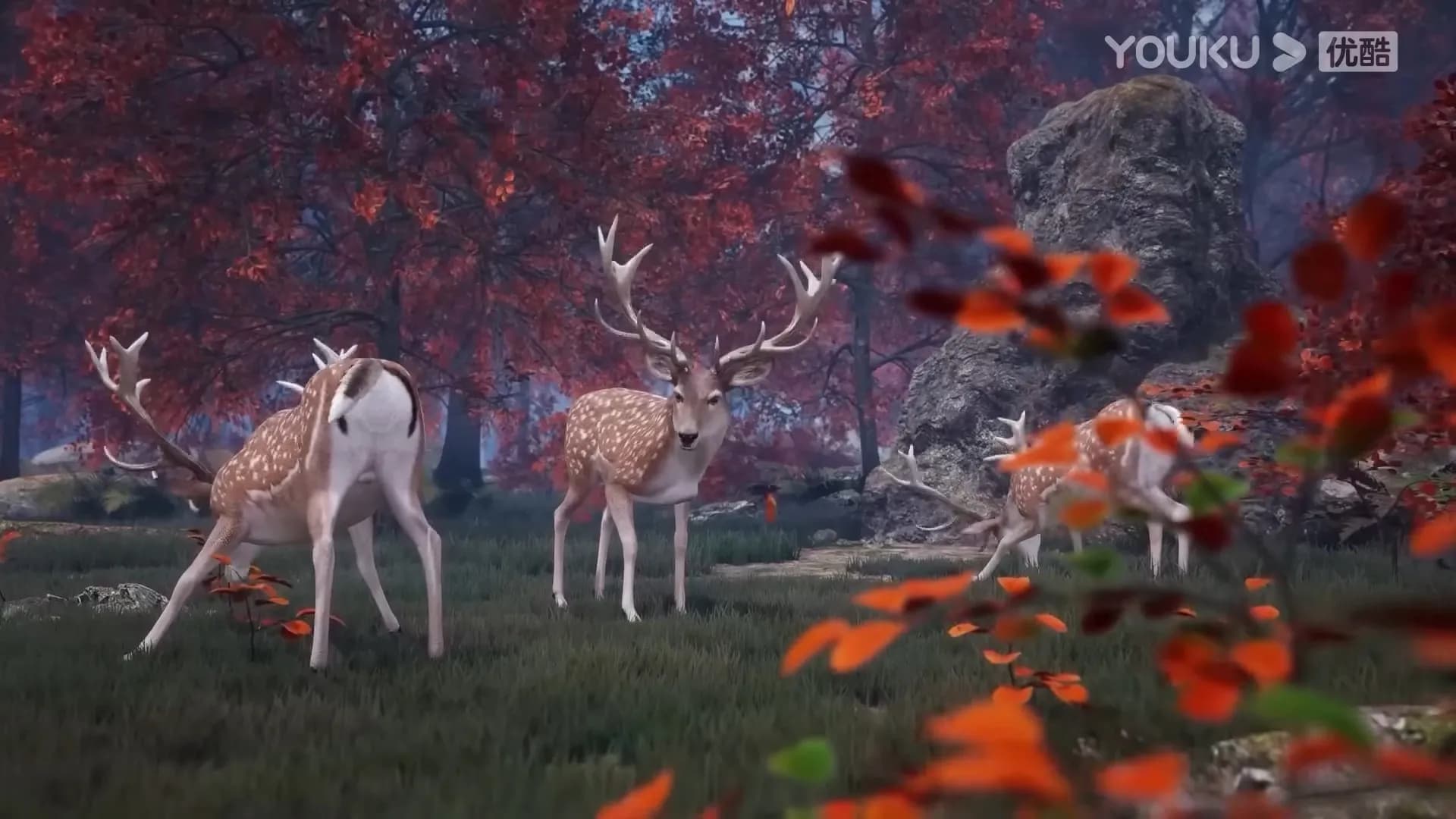 Тайны звёздных искусств screenshot 1