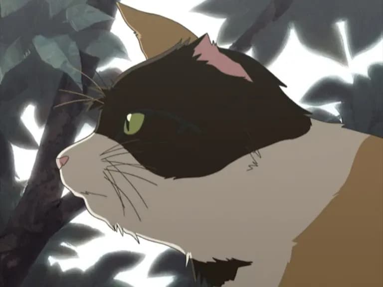 Настоящий парень screenshot 1