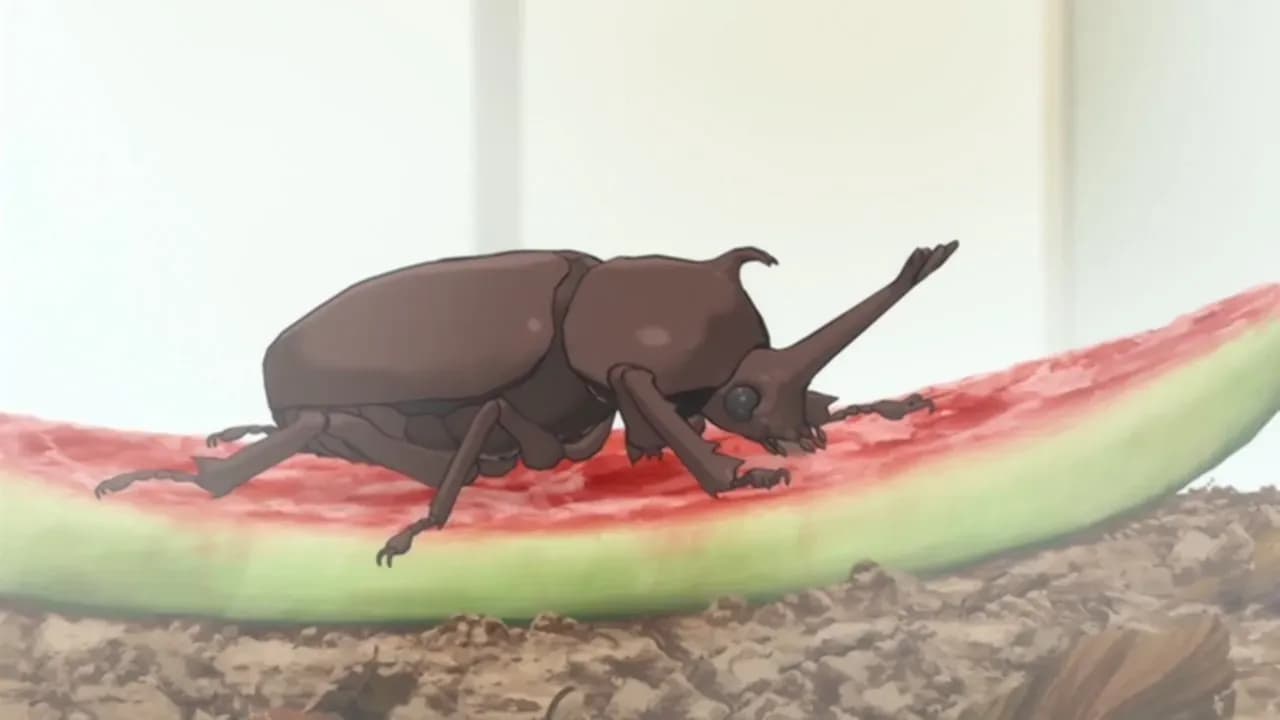 Сестры Минами OVA-3 screenshot 1