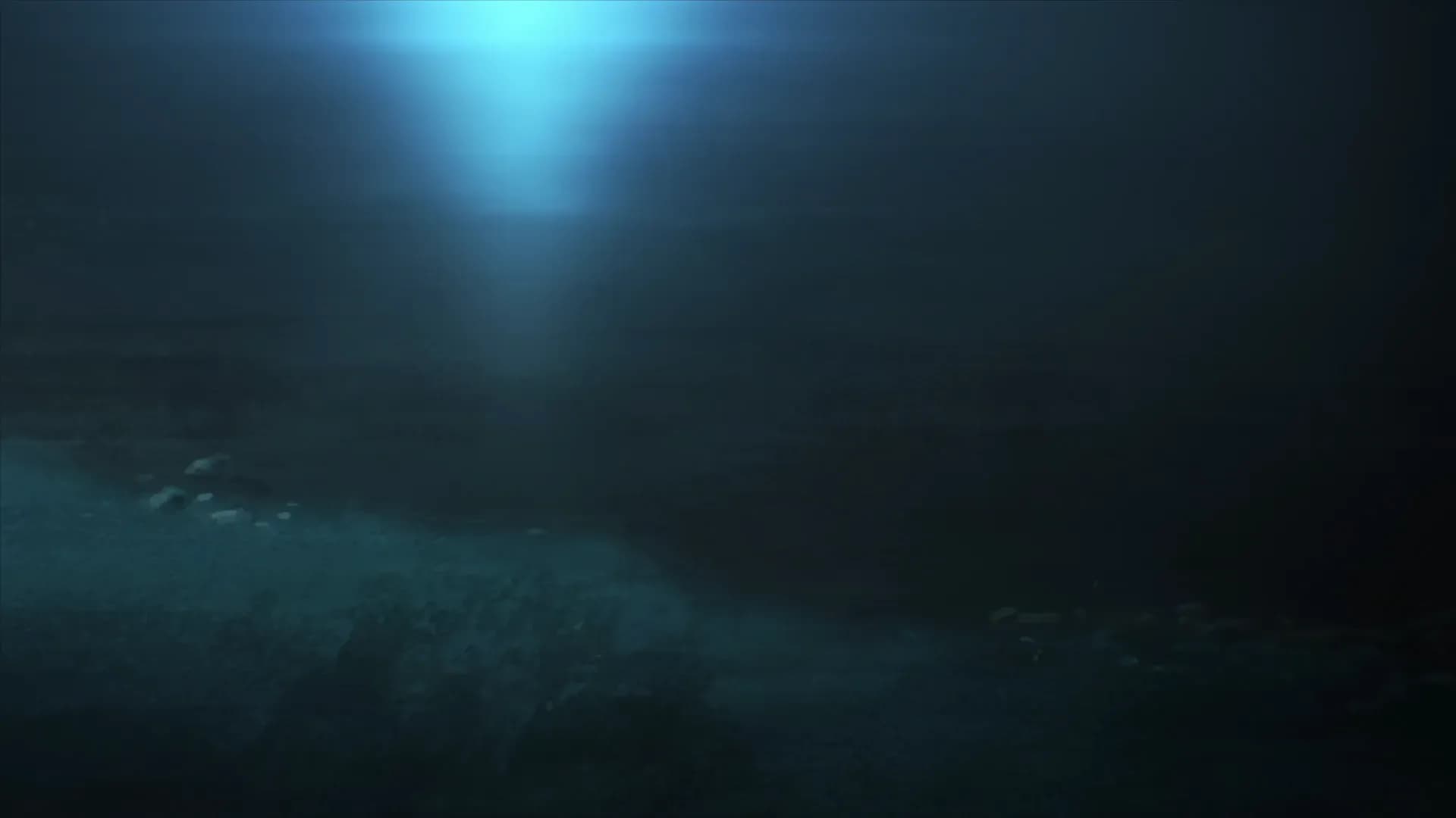 Дымная трава screenshot 1