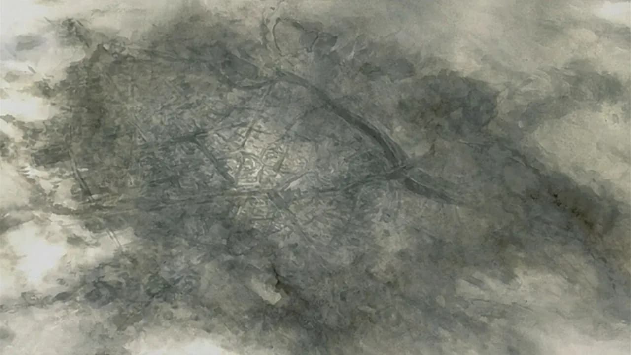 Птичья песня screenshot 1