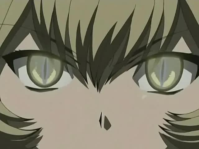 Мэджикано screenshot 2