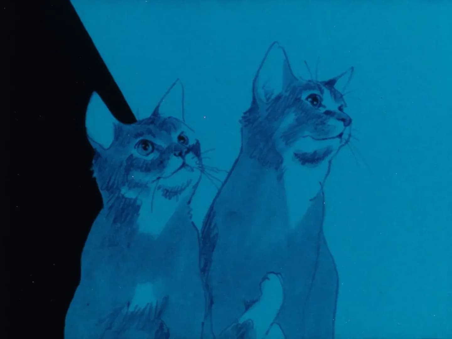 Морской котик screenshot 2