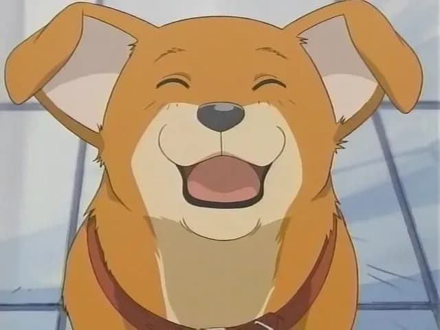 Вперёд! screenshot 2