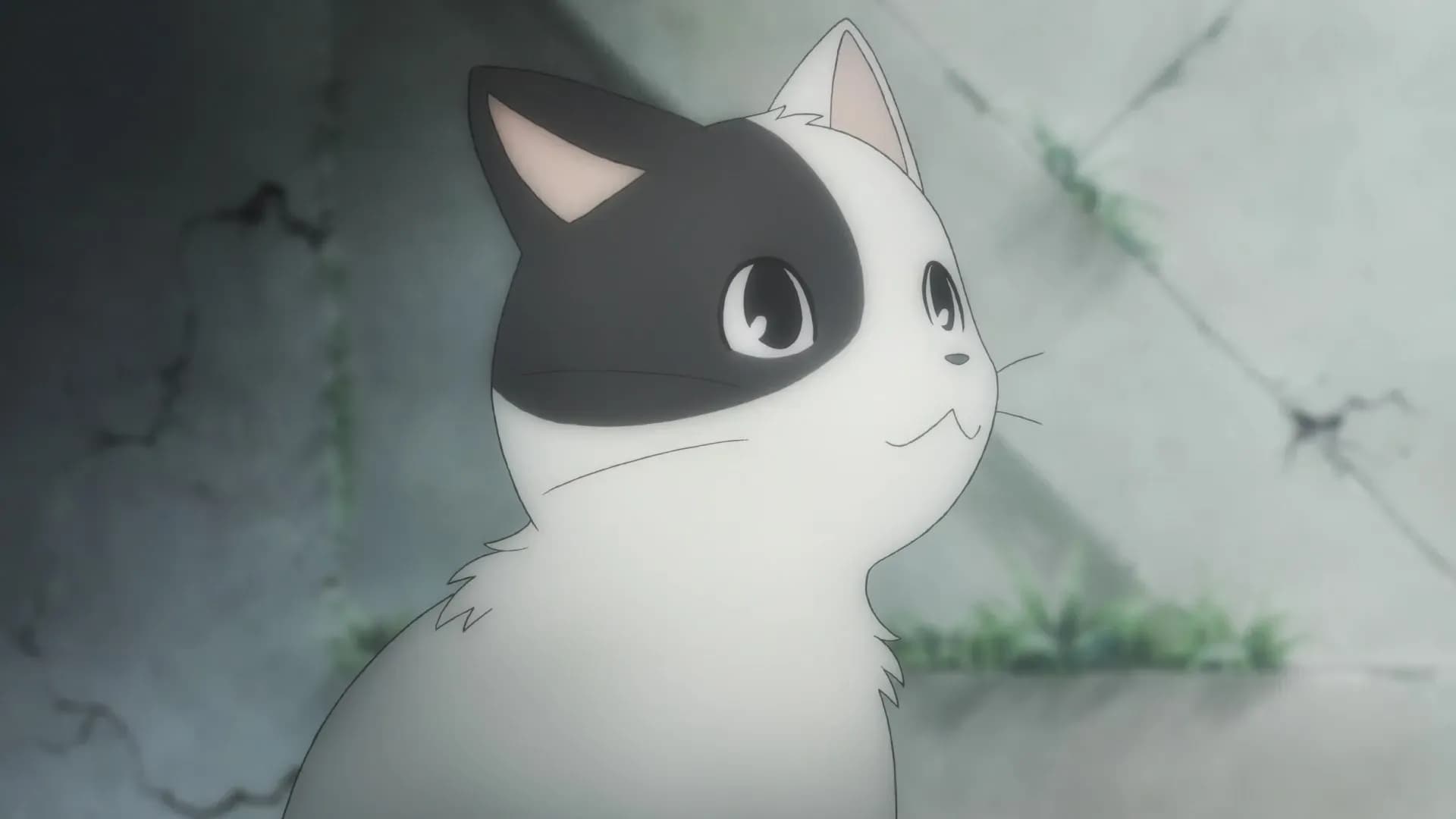 Димо screenshot 1