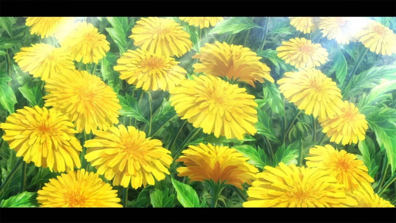 Кролика заказывали? OVA screenshot 1